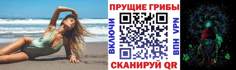kraken   Сураж  Псилоцибиновые грибы Psilocybine cubensis  купить наркотик 